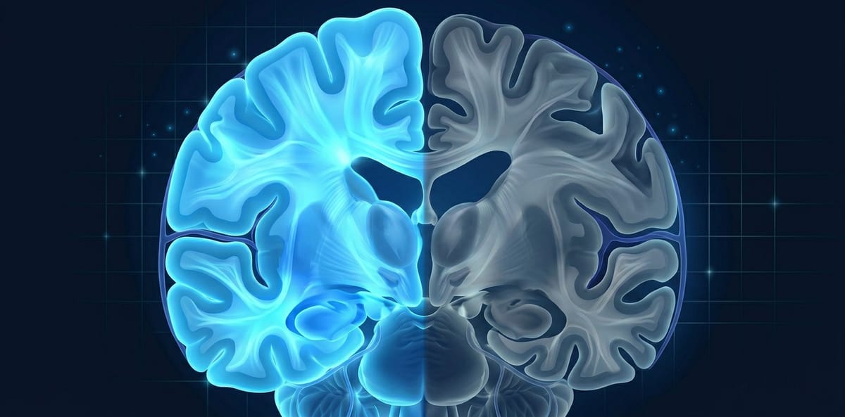 Alzheimer: Primeiros Sinais, Prevenção e Tratamentos Atuais